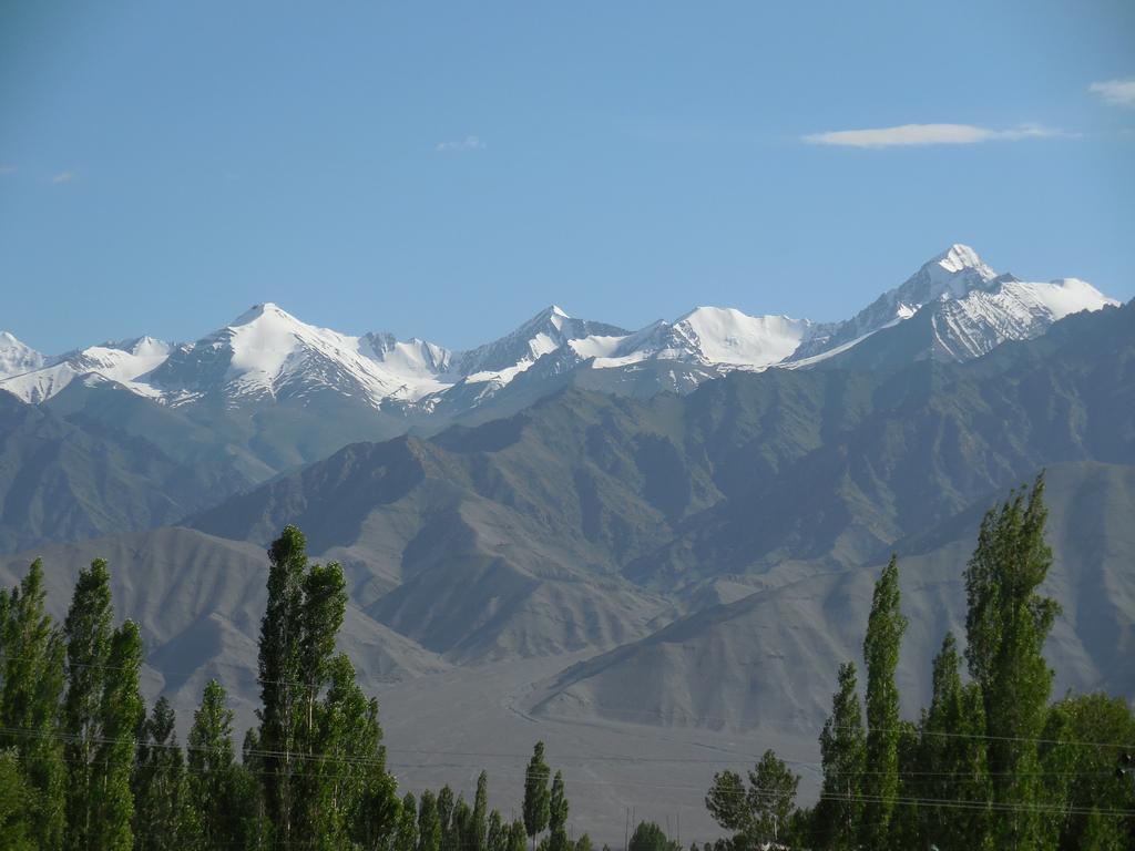 Sangto Green Guest House Leh Extérieur photo