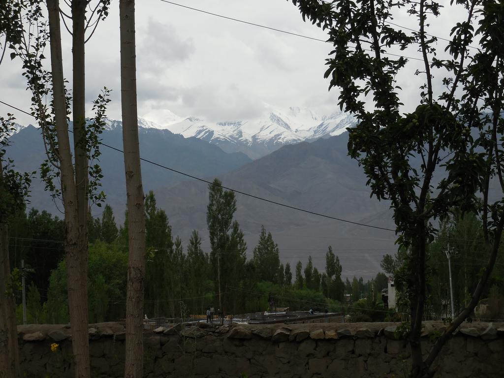 Sangto Green Guest House Leh Extérieur photo